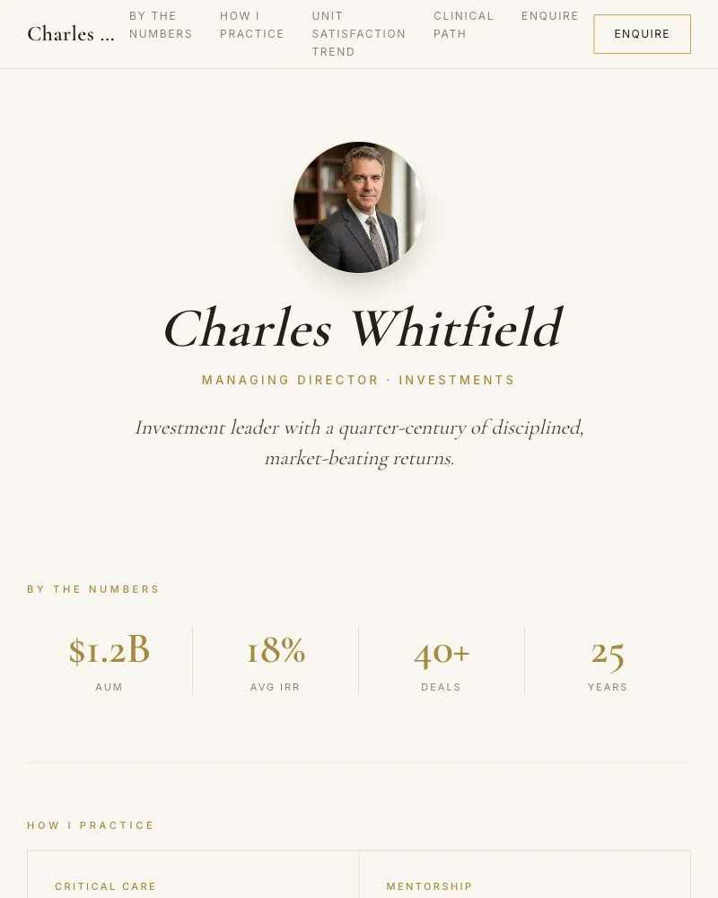Premium style pitch page example